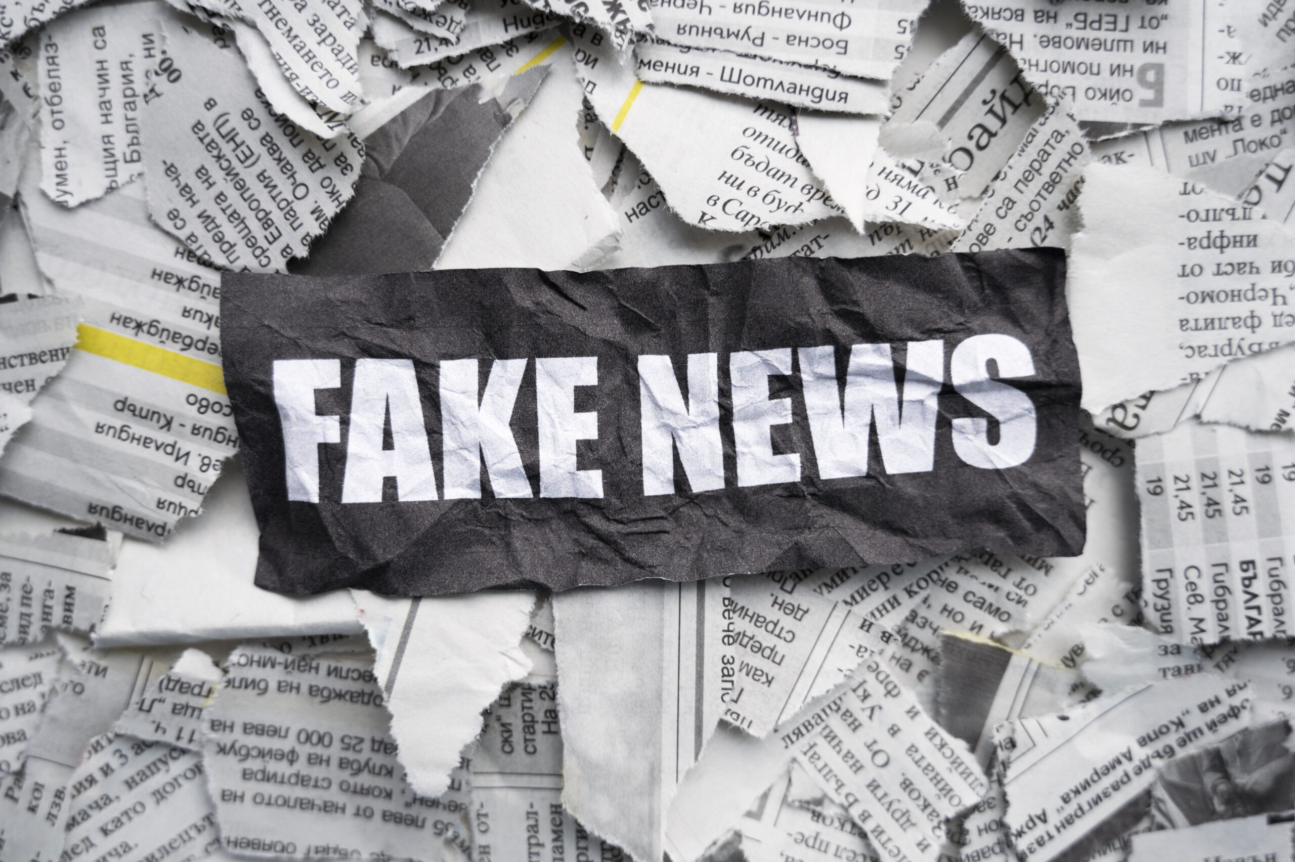 freepik Fake newx