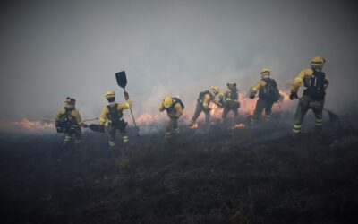 Bulos más rápidos (y nocivos) que las llamas