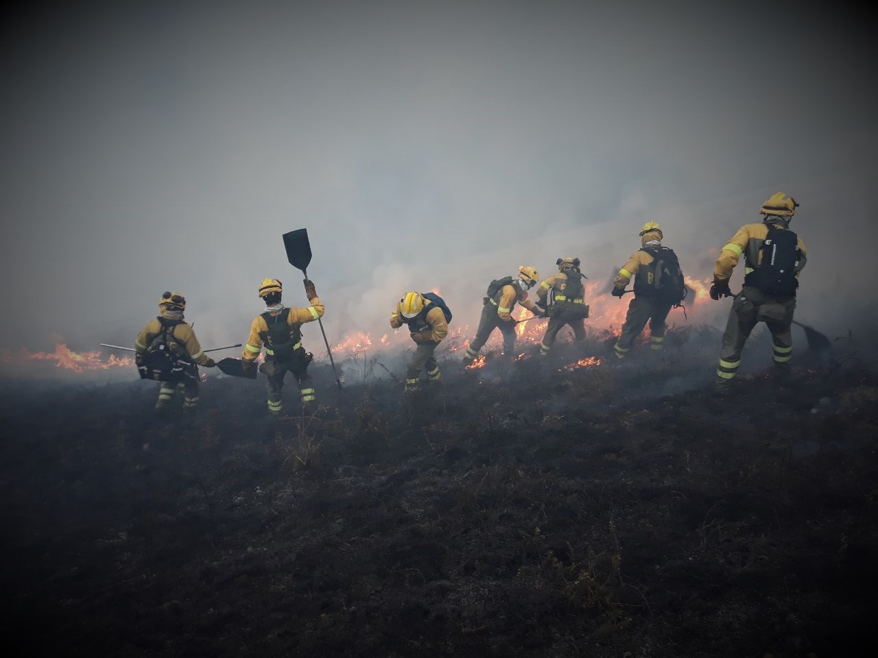Brigadas_Forestales_MITECO Efectivos de Las Brigadas de Refuerzo en Incendios Forestales (BRIF), dependientes del Ministerio para la Transición Ecológica y el Reto Demográfico (MITECO). Son unidades helitransportadas de personal altamente especializado en la extinción de incendios. Proporcionan un servicio de apoyo a las comunidades autónomas, pudiendo actuar en cualquier punto del territorio nacional.